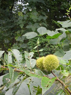 a0098510_1925279.jpg
