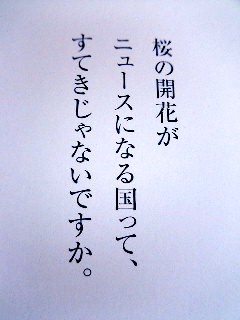 e0099212_2313535.jpg