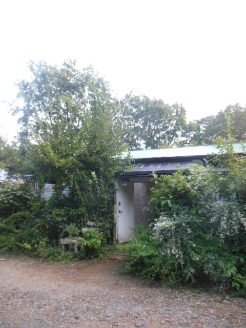 f0208812_1131735.jpg
