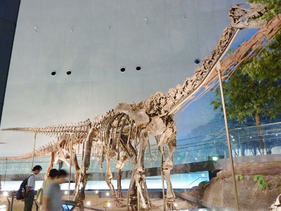 d0006323_12551226.jpg