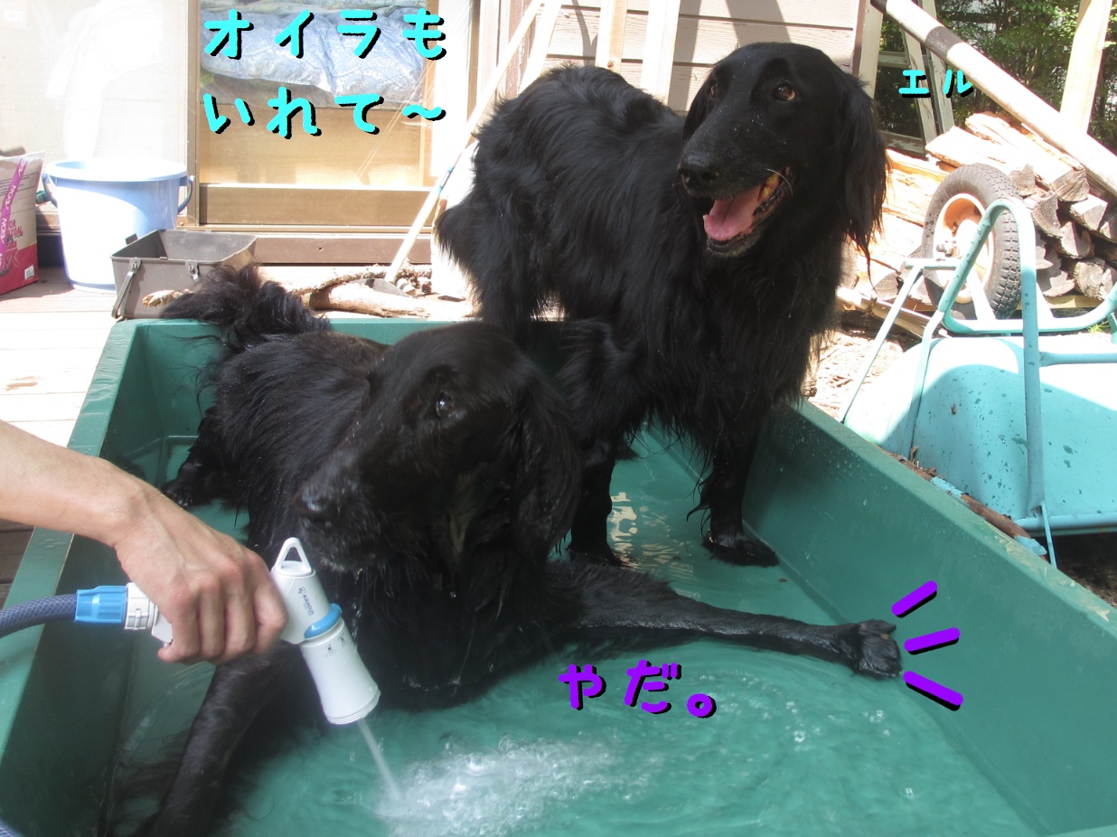 c0237824_9471318.jpg