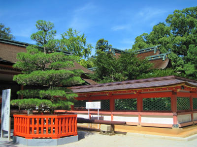 b0008825_14212737.jpg