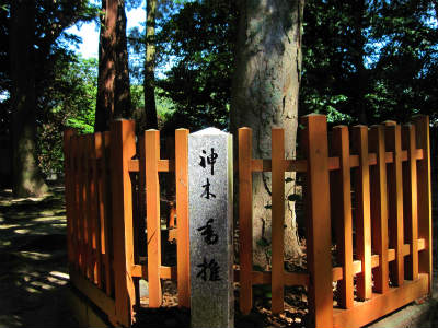b0008825_15343276.jpg
