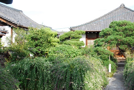 c0235725_2316535.jpg