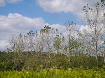 c0235725_6191857.jpg