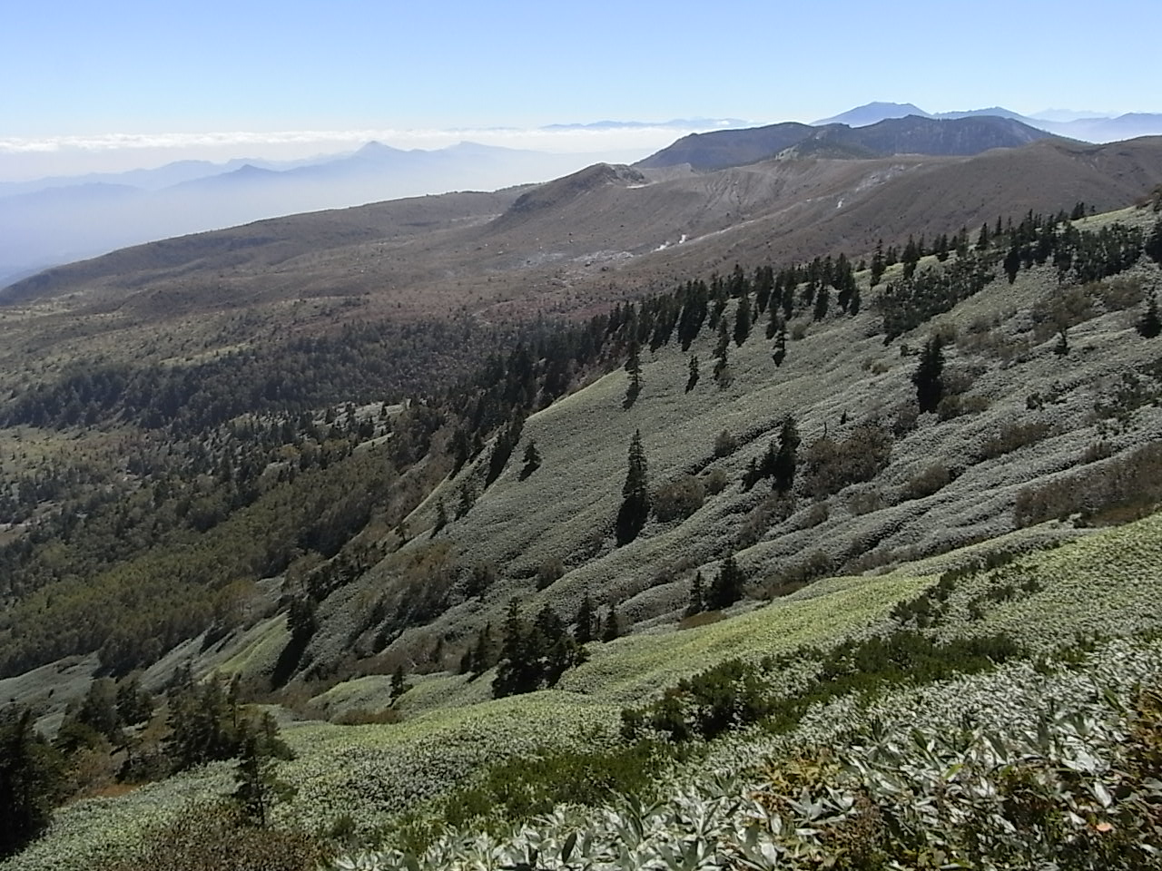 e0053327_0582572.jpg