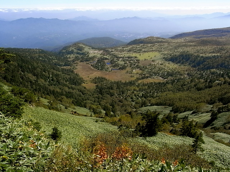 e0053327_058647.jpg