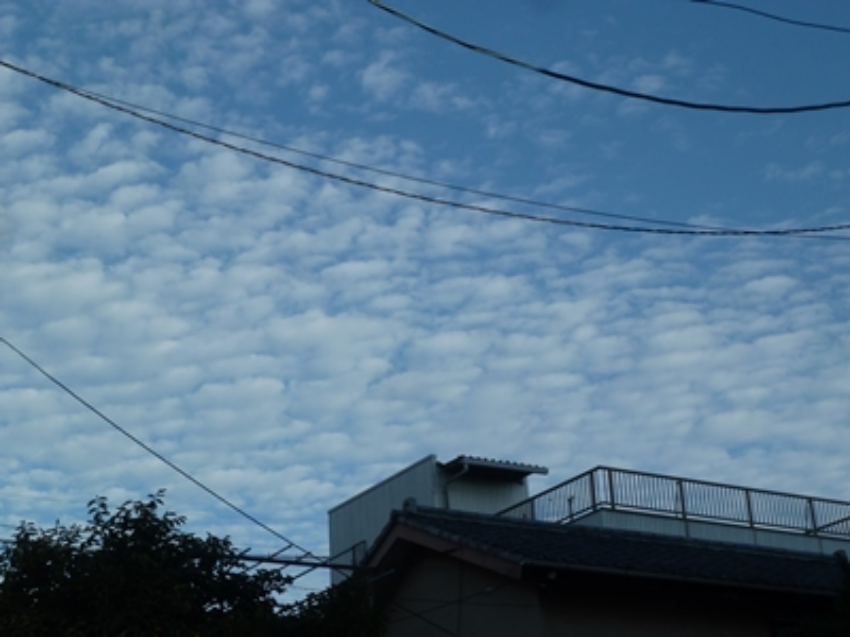 e0033229_22182742.jpg