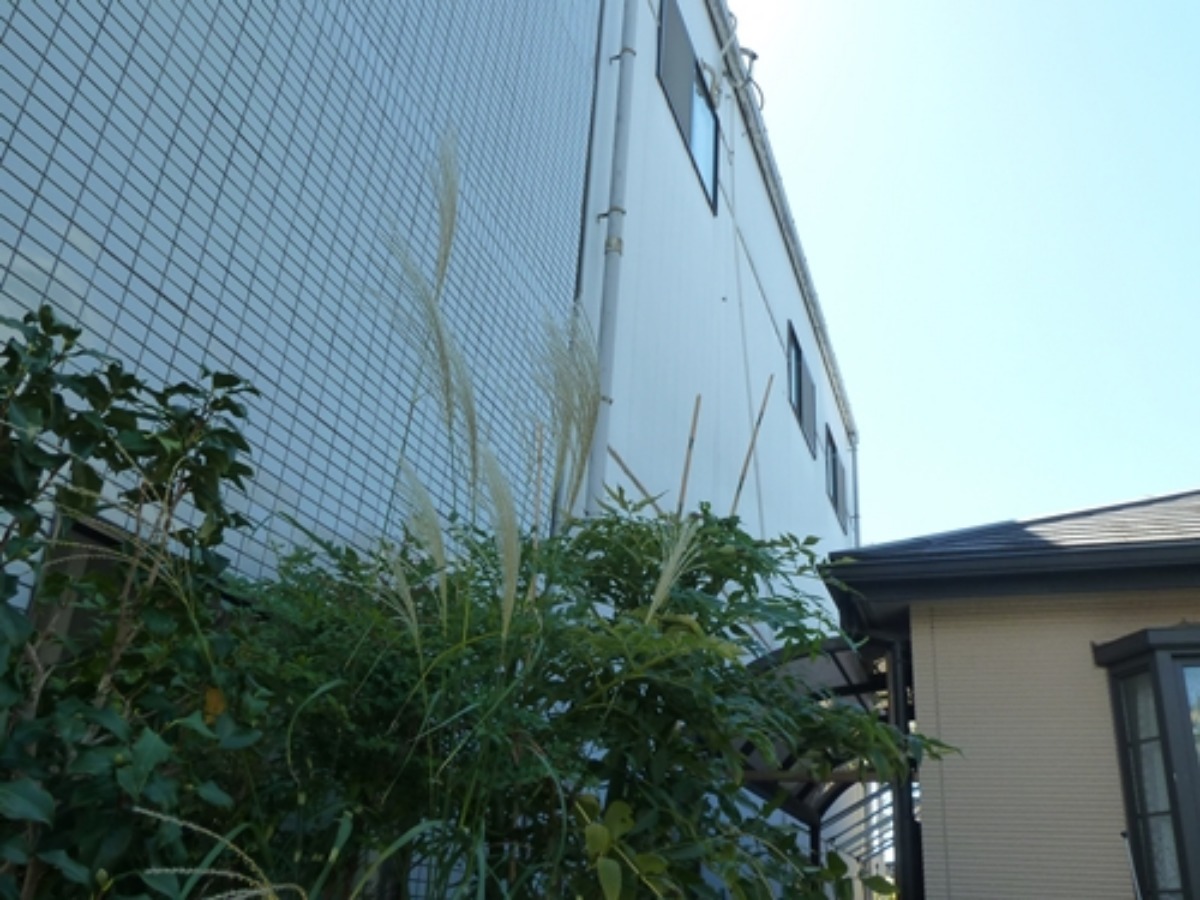 e0033229_2220283.jpg