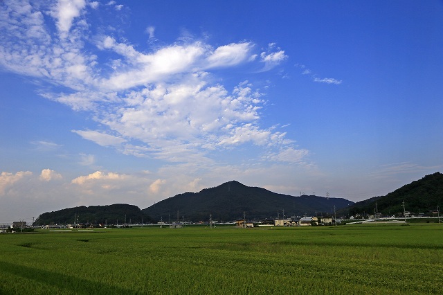 a0242438_19172784.jpg