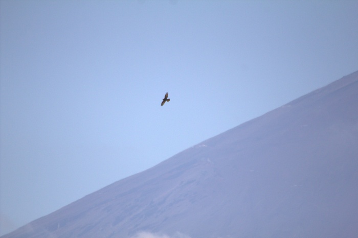 c0269342_1612161.jpg