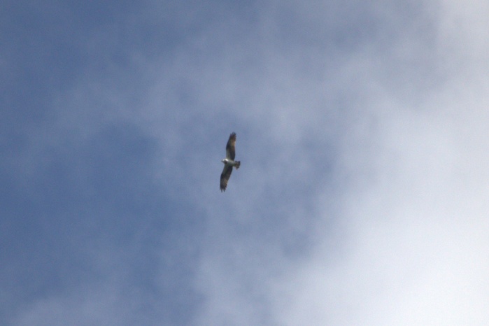 c0269342_1621353.jpg