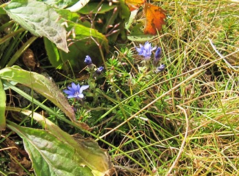 e0011145_21451796.jpg