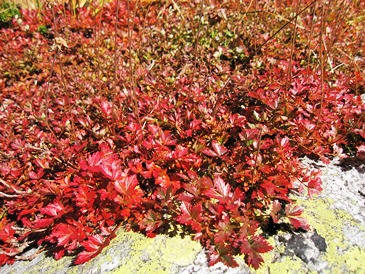 e0011145_21454737.jpg