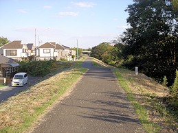 c0001653_039287.jpg