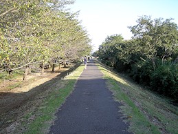 c0001653_040588.jpg