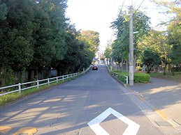 c0001653_0411318.jpg