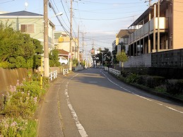 c0001653_0415820.jpg