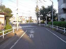 c0001653_042923.jpg