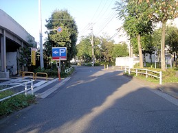 c0001653_0495157.jpg