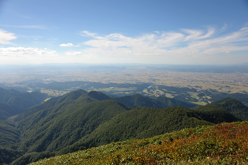 d0169556_1804324.jpg