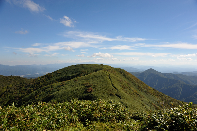 d0169556_1821022.jpg