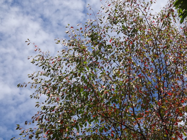 f0198556_22474023.jpg