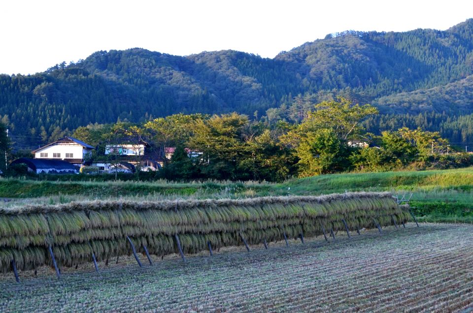 d0283357_1957993.jpg