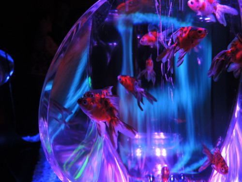 f0297861_20113871.jpg