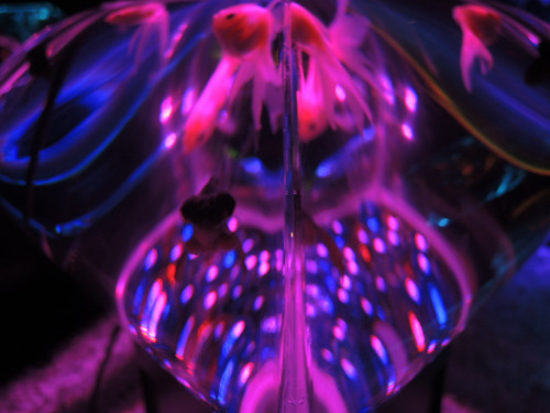 f0297861_20114922.jpg