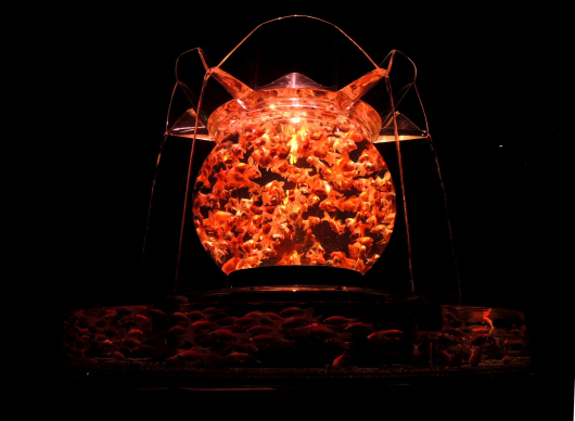 f0297861_2012377.jpg