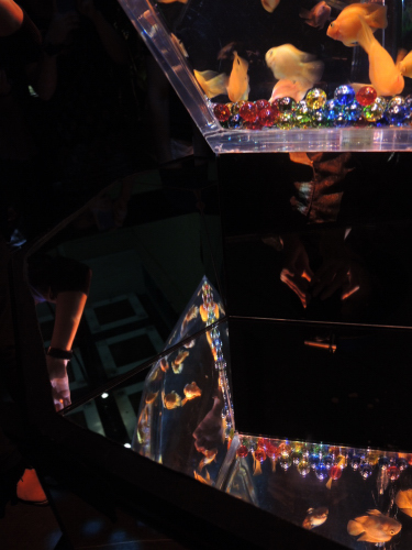 f0297861_2014310.jpg