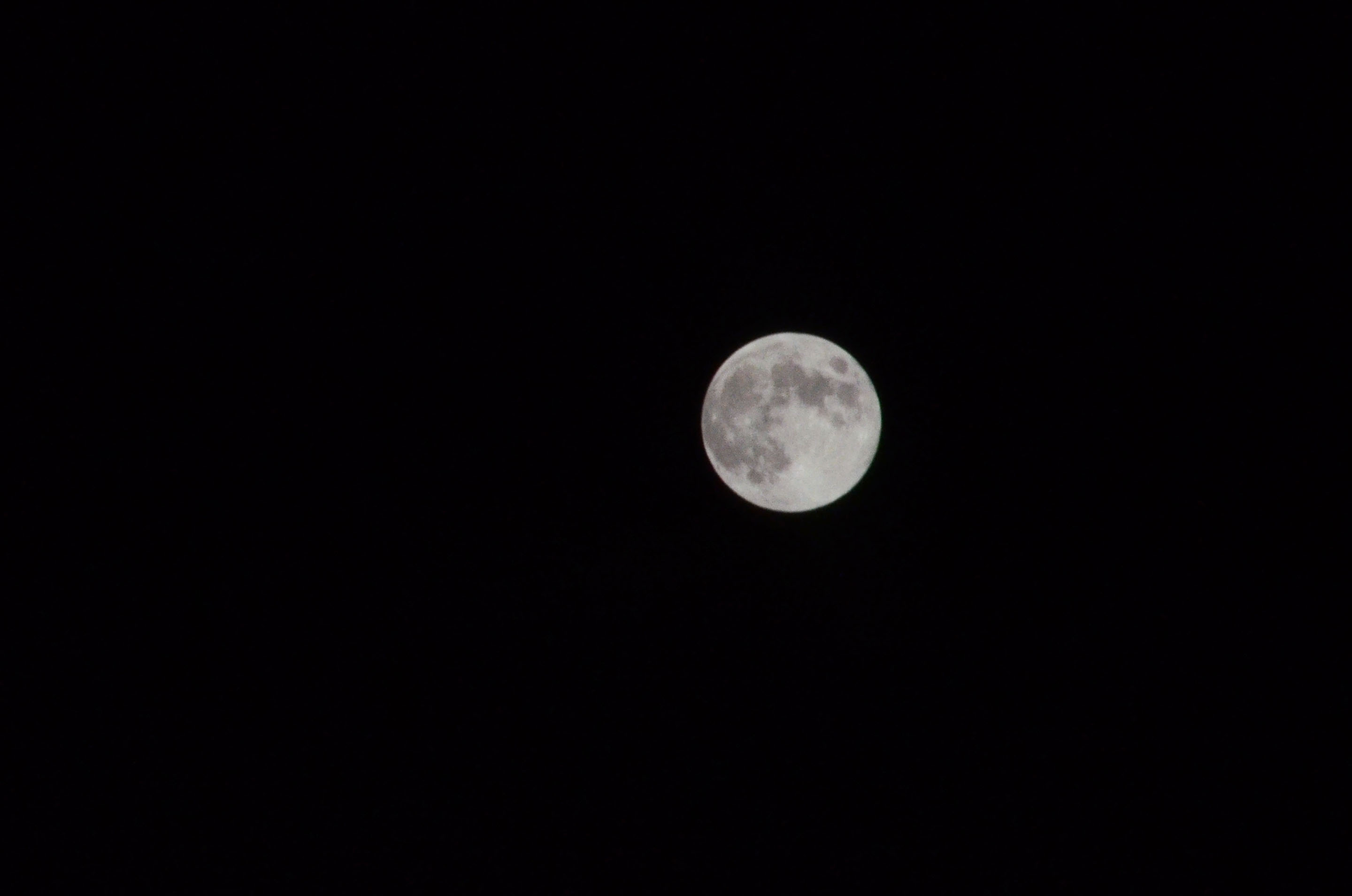 c0198263_15243265.jpg