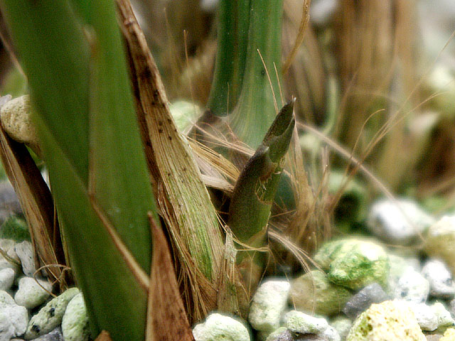 c0068168_14261427.jpg