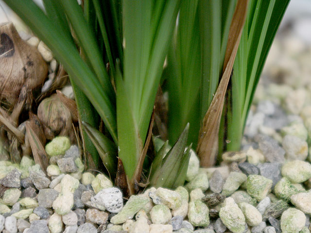 c0068168_1426645.jpg