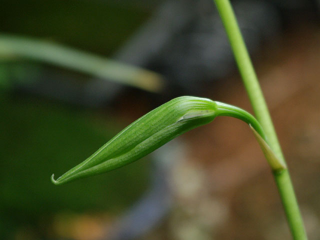 c0068168_14275599.jpg