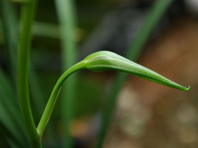 c0068168_14283625.jpg