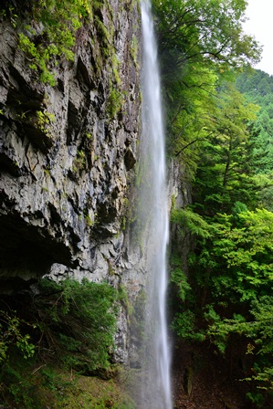 c0303868_726136.jpg