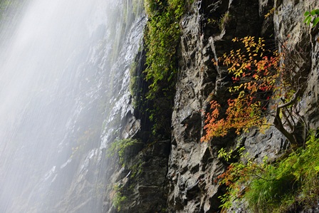 c0303868_730326.jpg