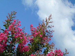 e0160568_12561417.jpg
