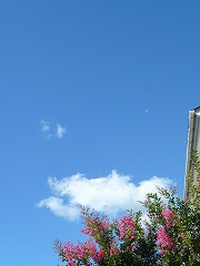 e0160568_12563713.jpg
