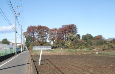 c0112172_15475.jpg