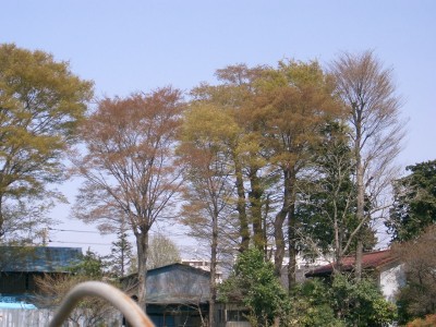 c0112172_1552100.jpg