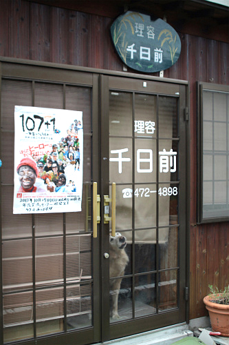f0232876_2252163.jpg