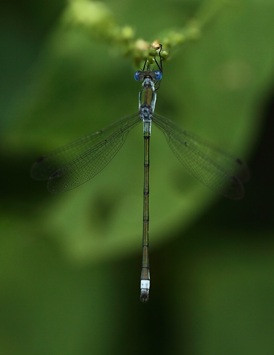 e0249878_21362729.jpg