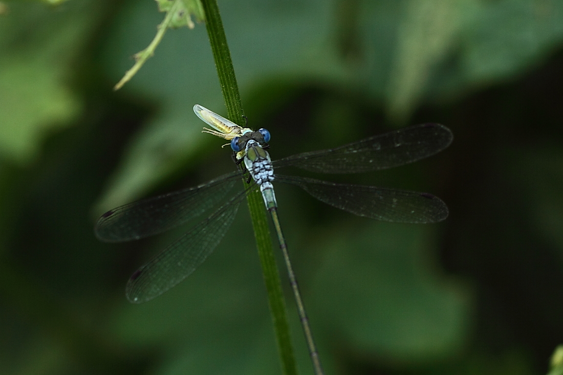 e0249878_21393835.jpg