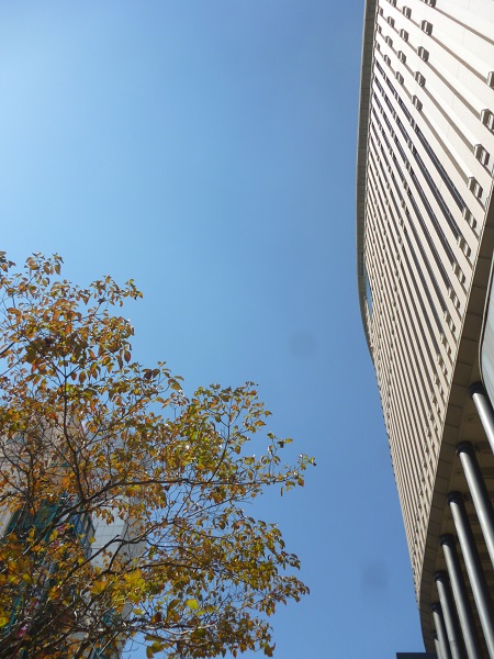 e0095183_1958174.jpg