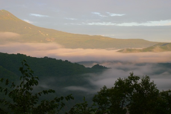 a0130586_943128.jpg