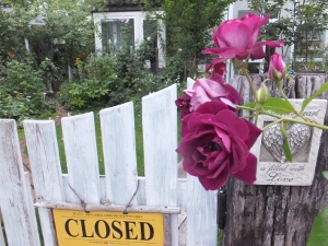 c0078586_22165647.jpg