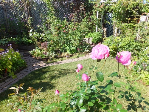 c0078586_22222138.jpg
